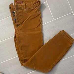 Anthropologie Brown Skinny Pilko